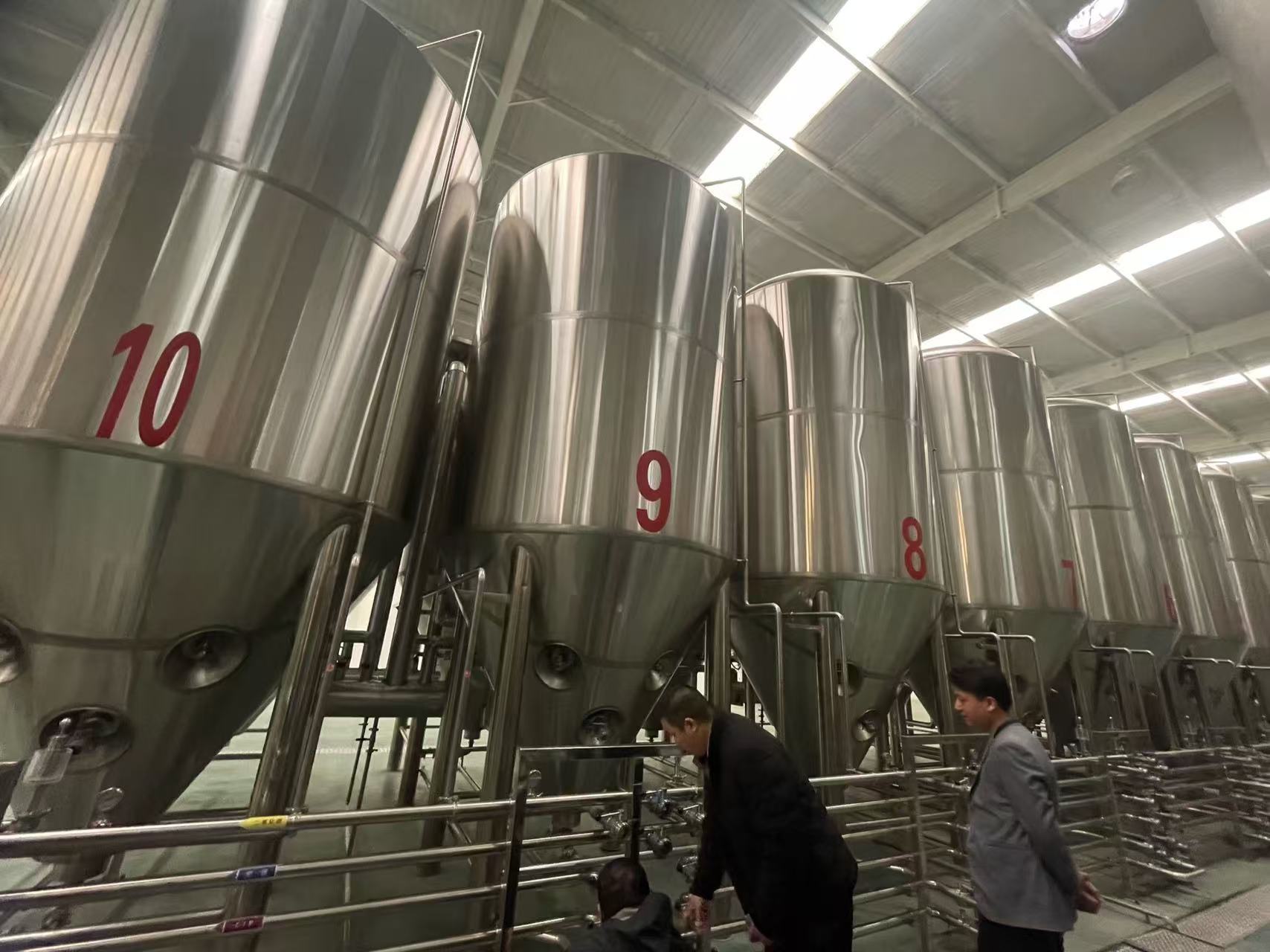 阳明精酿啤酒设备厂—平面布置、设备设计、制造、调试、培训等一条龙服务