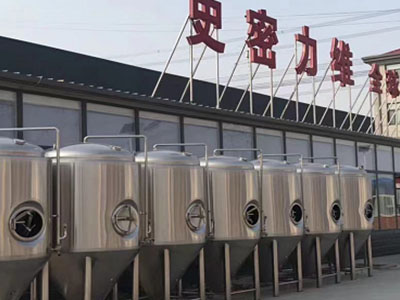 阳明精酿啤酒设备厂—如何判断精酿啤酒设备的密封件需要更换？
